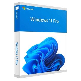Windows 11 Pro